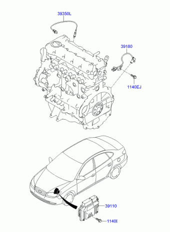 Elantra 24.07.2009 2010