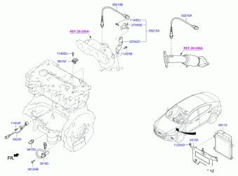 Elantra 03.07.2018 2018
