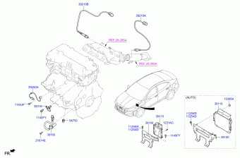Elantra 19.02.2020 2020