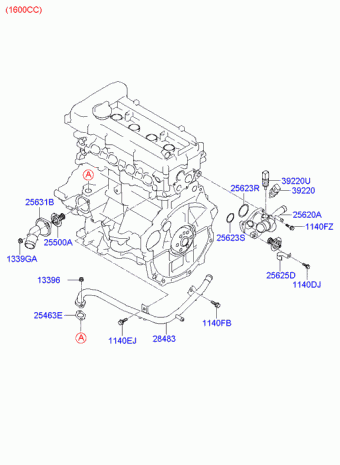Elantra 21.09.2006 2007