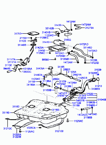 Sonata 10.12.1999 2000