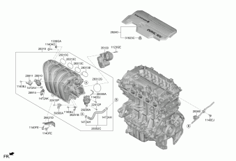 Elantra 02.04.2022 2021