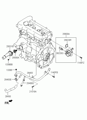 Elantra 19.11.2016 2017