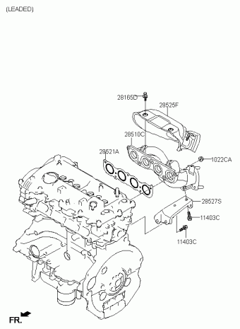 Elantra 30.01.2020 2020