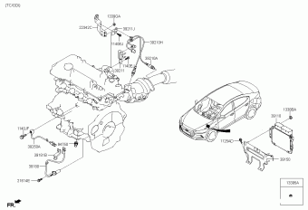 Elantra 15.02.2019 2019