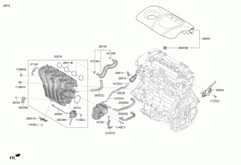 Elantra 20.03.2019 2020