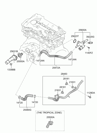 Elantra 13.06.2019 2019