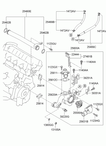 Sportage 11.01.2010 2010
