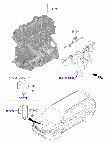 Carnival/Sedona 26.10.2021 2022