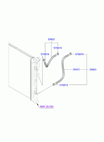 K5 23 (2023-) 03.01.2024 2024