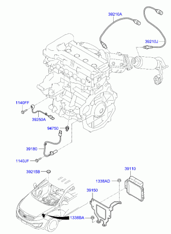 Sportage 22.11.2011 2012