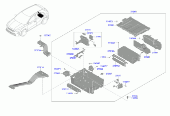 Ceed 03.01.2024 2024
