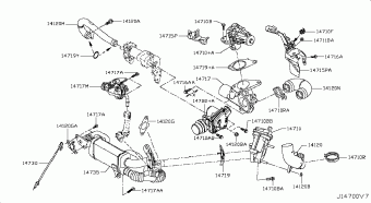 JUKE 11.2015 Z