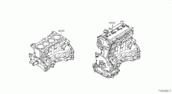 X-TRAIL 01.2012 QM1