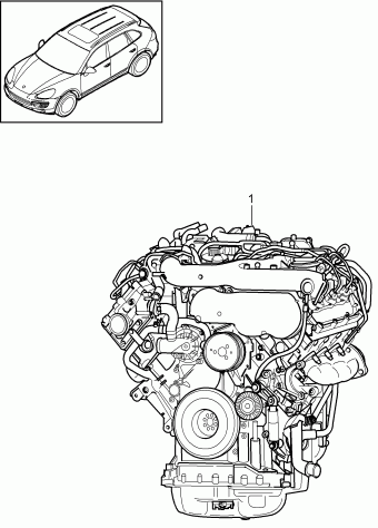 Cayenne 28.06.2010 2011