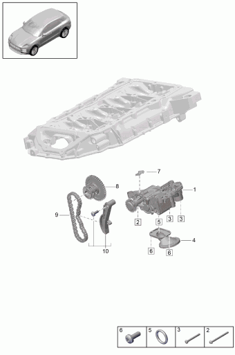 Macan 04.10.2021 2022