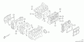 IMPREZA Europe/General 12.02.2016