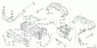 IMPREZA Europe/General 02.11.2017
