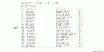 XV USA 28.08.2014