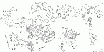XV USA 22.09.2015