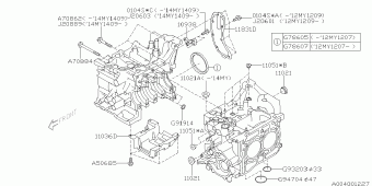 XV Europe/General 20.06.2014