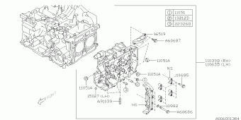 XV Europe/General 20.06.2014