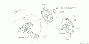 FORESTER USA 14.06.2012
