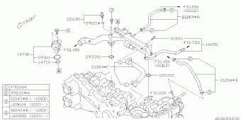 FORESTER USA 14.06.2012