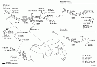 HILUX GUN135R-CTFLHT 06.2019