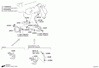 HILUX (SCB/XTR) GUN125L-BGFLXF 02.2025
