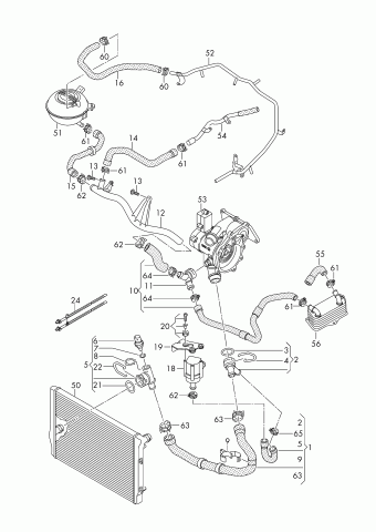 Golf 14.02.2019 2019